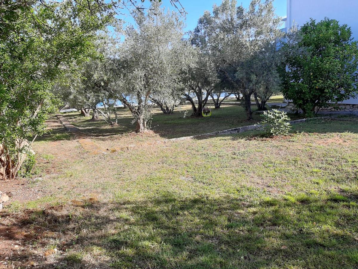 Appartamento Family House Rebeka Ugljan Esterno foto