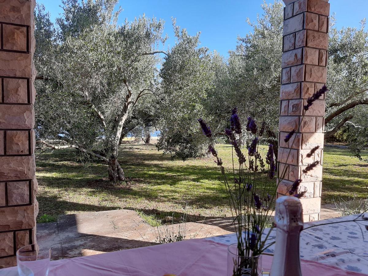 Appartamento Family House Rebeka Ugljan Esterno foto