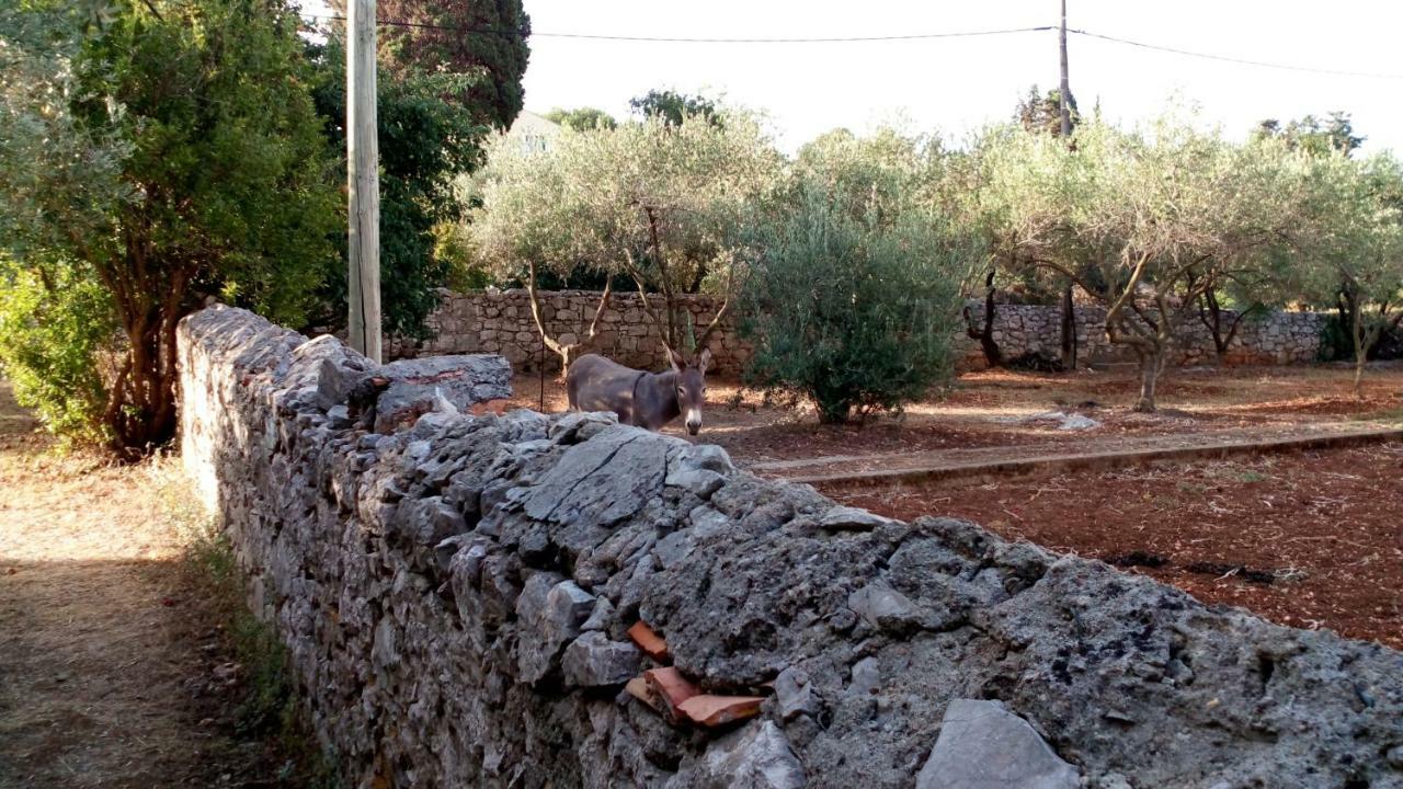 Appartamento Family House Rebeka Ugljan Esterno foto